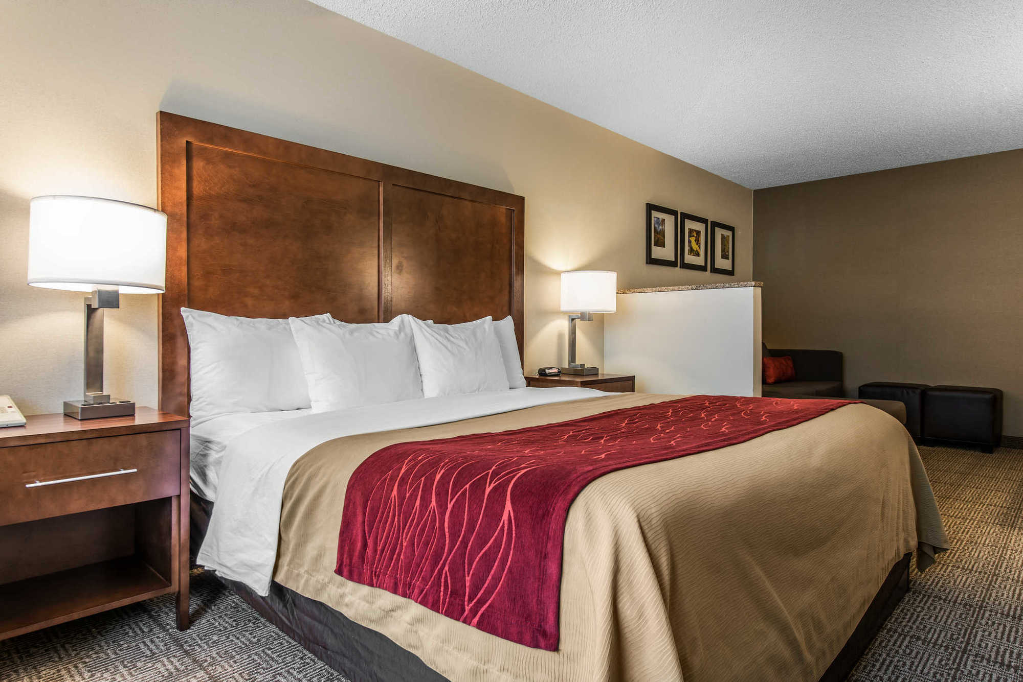 Comfort Inn Denver West Arvada Station Wheat Ridge Pokój zdjęcie